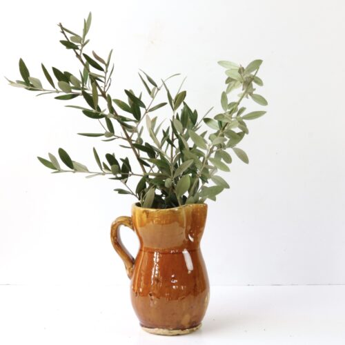 A terracotta pitcher with a green plant in it.